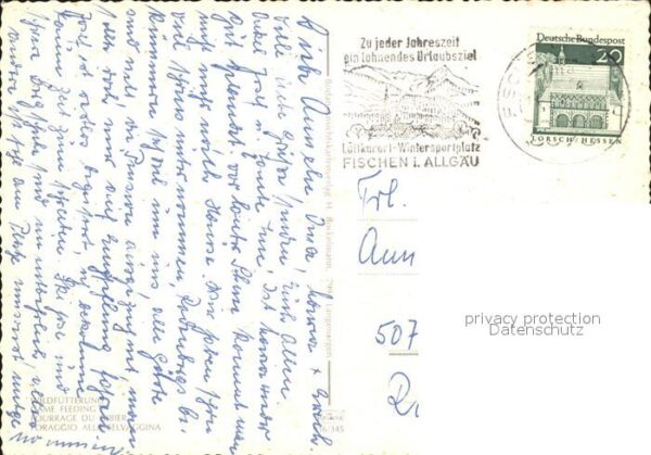 Hirsch Wildfütterung – Bild 2