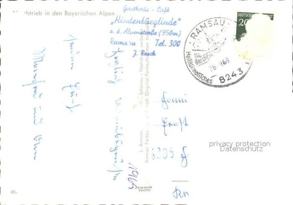 Kuehe Almabtrieb Berchtesgadener Land – Bild 2
