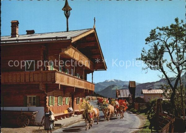 Kuehe Alm-Abtrieb Österreich