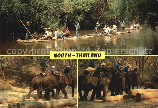 Elefant North-Thailand Floating Working Elephan