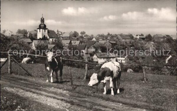 Vielbrunn Ortsansicht mit Kirche Höhenluftkurort