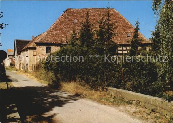 Heppenheim Wiese Brauch'sche Mühle