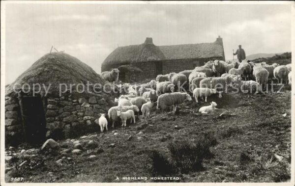 Aberdeen Highland Homestead