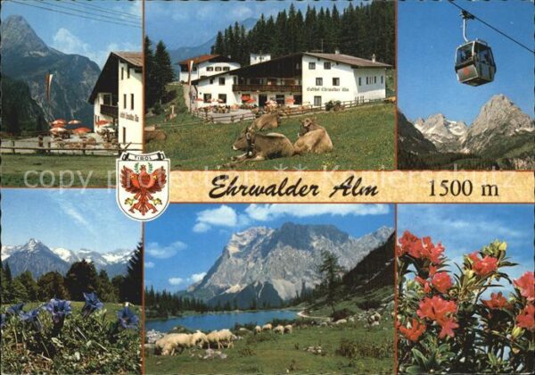 Ehrwald Tirol Weide Teilansicht Panorama Gondel