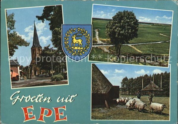 Epe Gelderland Kirche Schafe Teilansicht