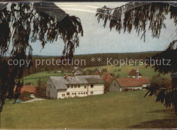 Gruenwald Lenzkirch Gasthaus Pension