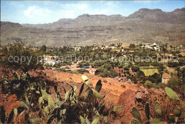 Santa-Lucia-de-Tirajana Panorama