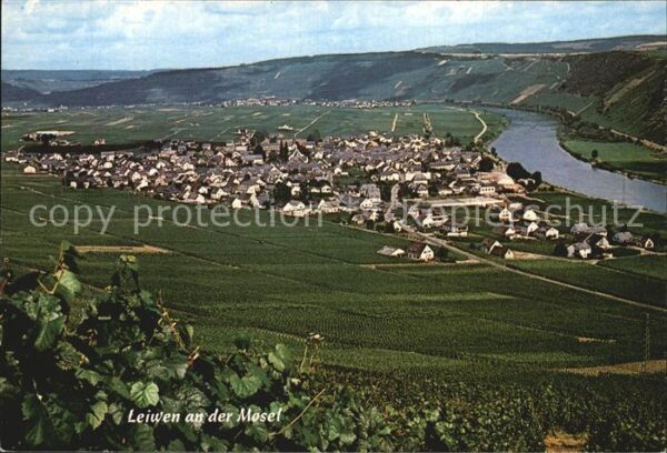 Leiwen Trier-Saarburg Panorama Moselpartie