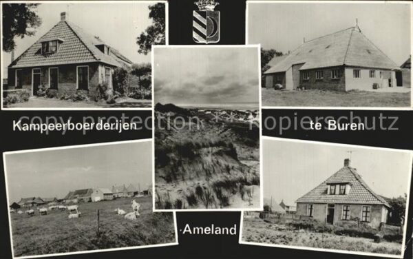Ameland Kampeerboerderijen te Buren