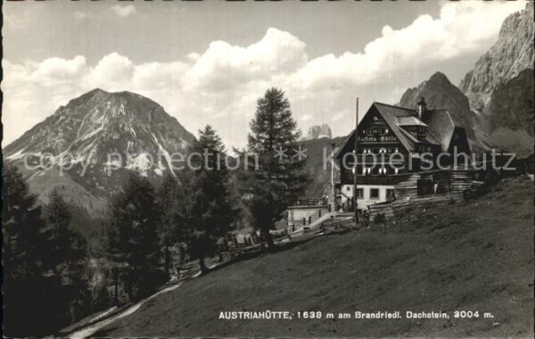 Austriahuette am Brandriedl Dachstein