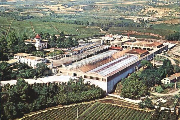 Cavas Codorniu Exteriores Fliegeraufnahme