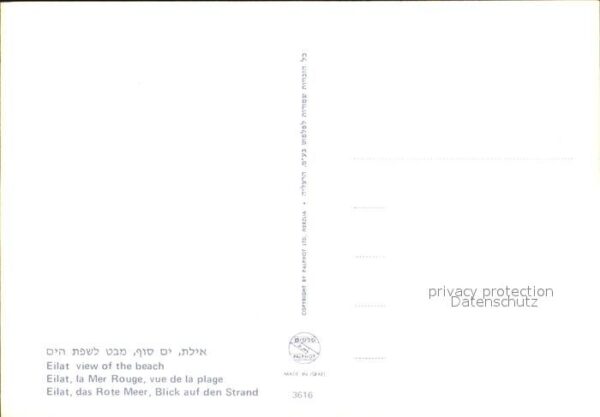 Eilat Eilath Israel Red Sea – Bild 2