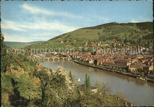 Heidelberg Neckar Blick vom Philosophenweg