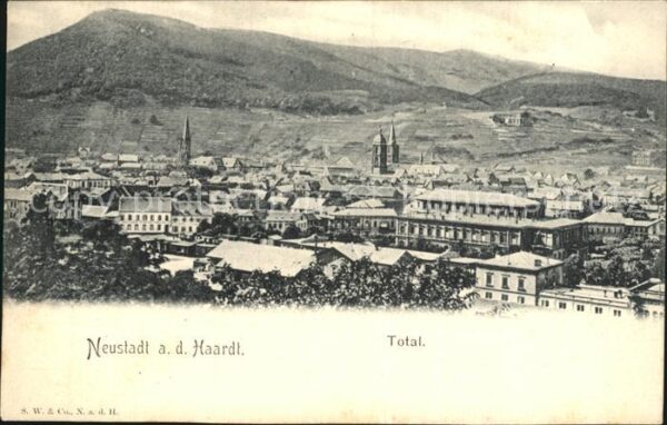 Neustadt Haardt Panorama
