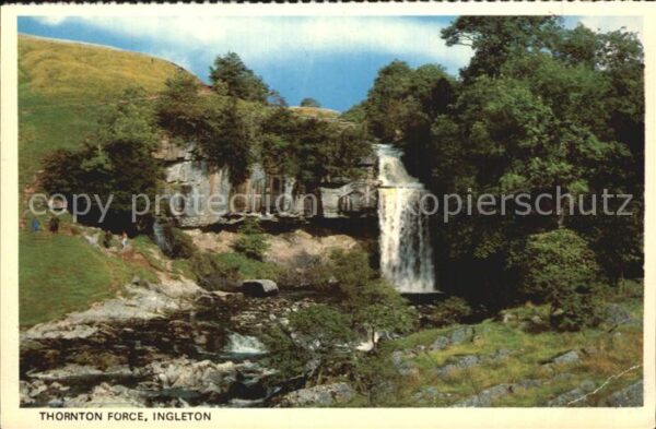 Ingleton Thornton Force