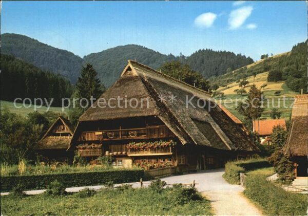 Schwarzwald Schwarzwaldhaus