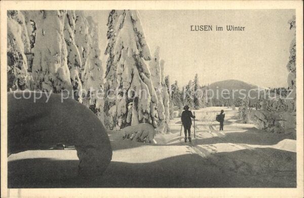 Lusenschutzhaus Langlauf Waldhäuser Lusen