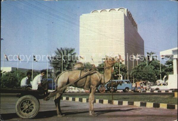 Karachi Camel Cart