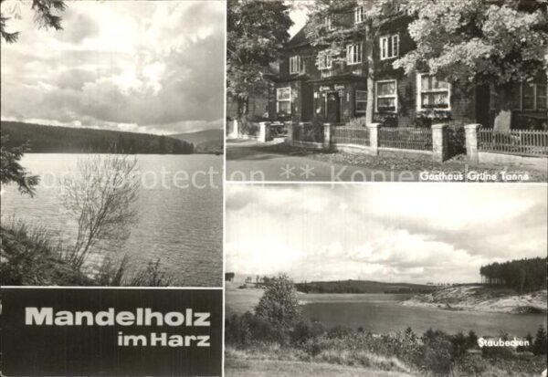 Mandelholz Harz Gasthaus Grüne Tanne Staubecken