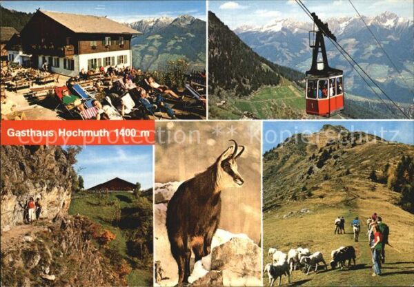 Dorf Tirol Gasthaus Hochmuth Seilbahn Steinbock