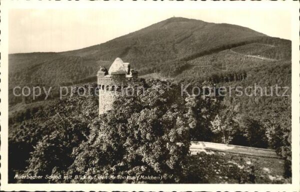Auerbach Bergstrasse Schloss mit Blick auf den Melibokus Ode