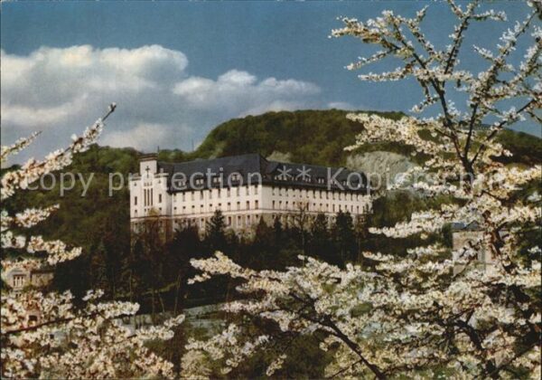 Vallendar Pallotti Haus Baumblüte