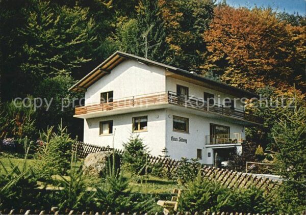 Holzhausen Huenstein Haus Silberg am Waldschwimmbad Luftkuro