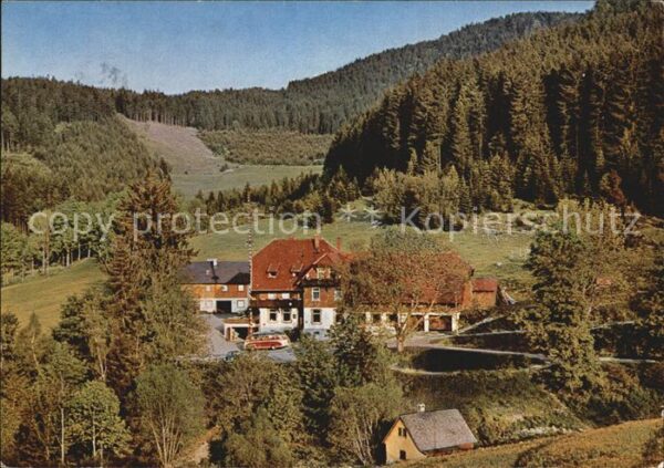 Alpersbach Gasthaus Pension zur Esche Schwarzwald