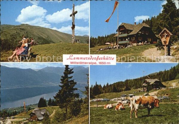 Millstatt Millstaettersee Lammersdorferhütte Millstätteralpe Kühe