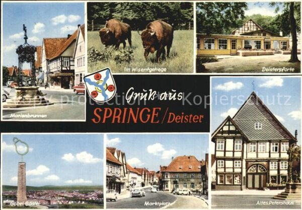 Springe Deister Marienbrunnen Wisentgehege Büffel Deist