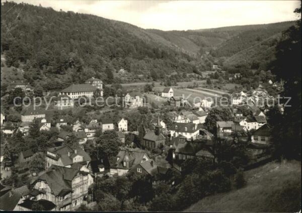 Schwarzburg Thueringer Wald Blick über die Stadt