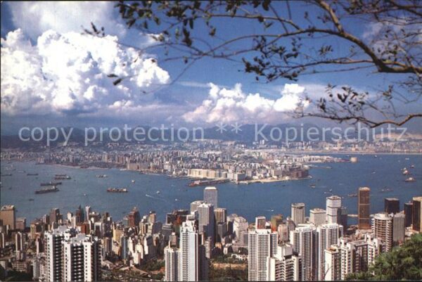 Hong Kong Panorama