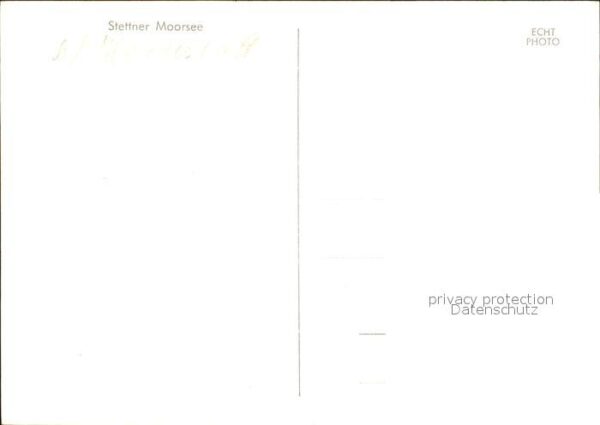 Chiemsee Stettner Moorsee – Bild 2