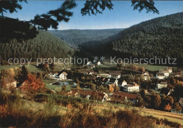 Enzkloesterle Stadtansicht