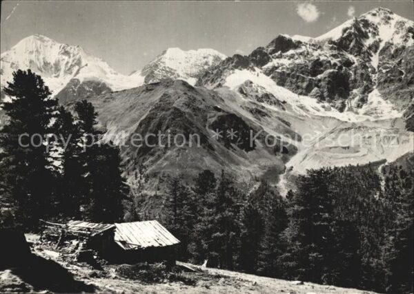 Ortler Ortlerspitze