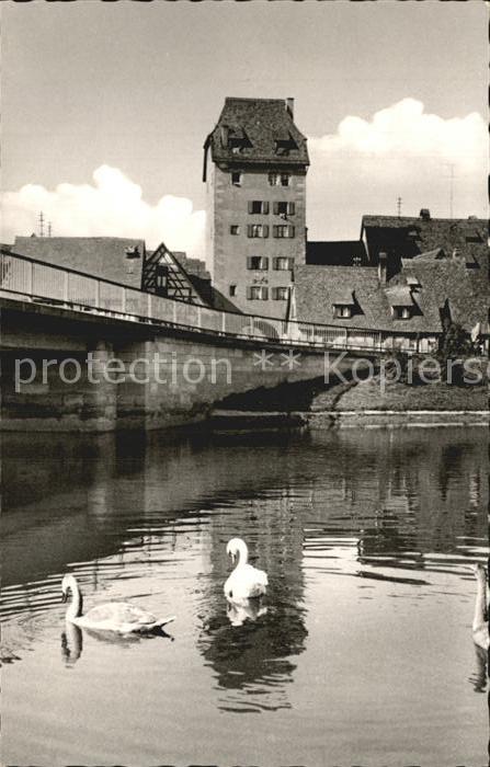 Hersbruck Wassertor Schwäne