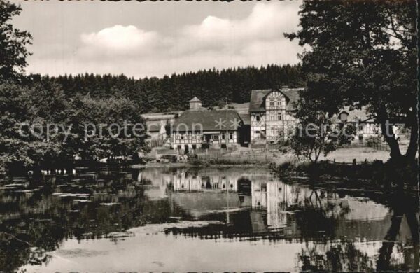 Neuhaus Solling Dorfteich Fachwerkhäuser