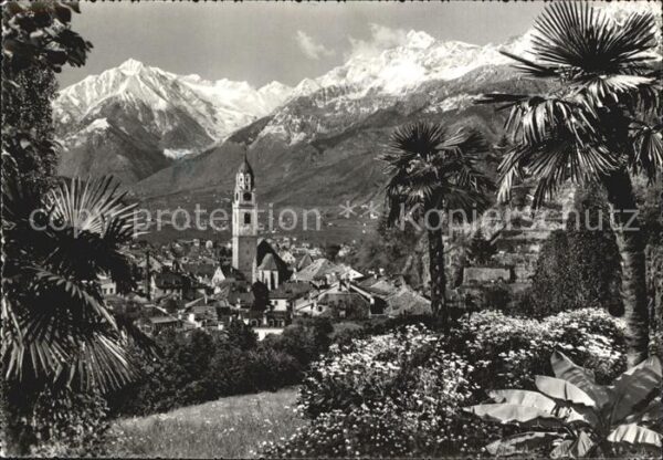 Merano Meran Panorama