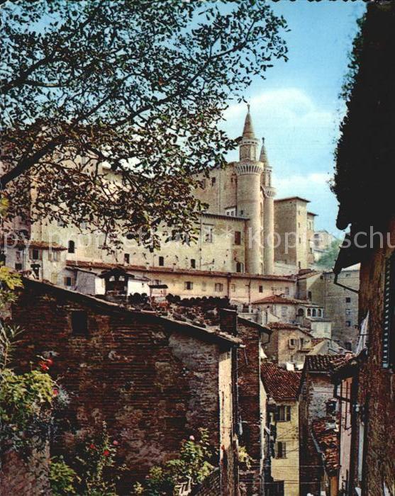 Urbino Torricini visti da S Giovanni