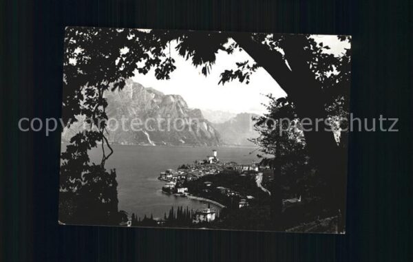 Malcesine Lago di Garda Panorama
