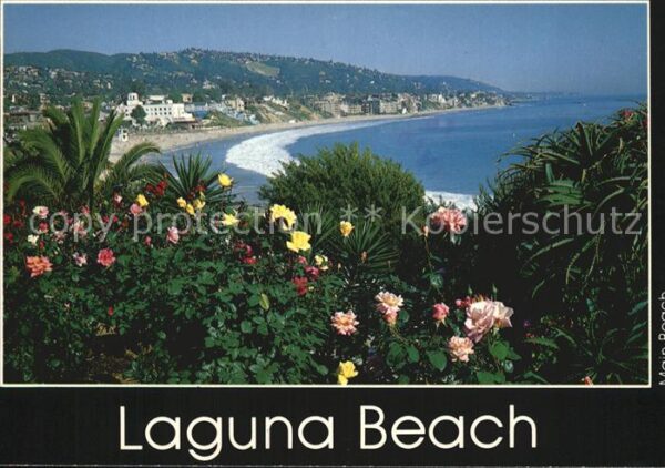 Laguna Beach Panorama Flowers