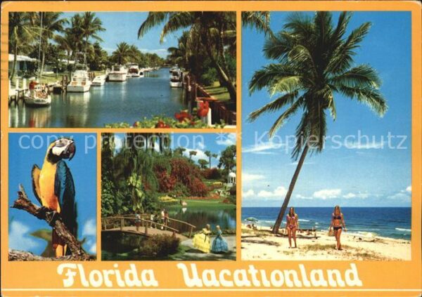 Florida US-State Bootsliegeplatz Papagei Brückchen Stran