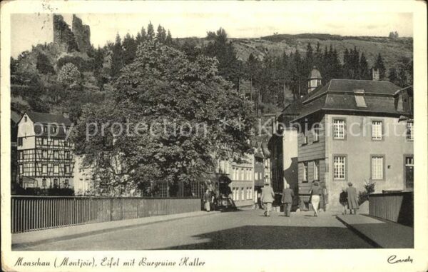 Monschau mit Burgruine Haller