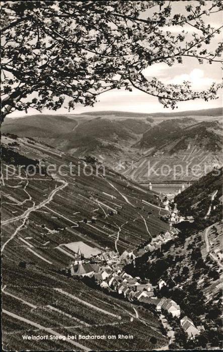 Steeg Bacharach Panorama Weindorf mit Blick zum Rhein W