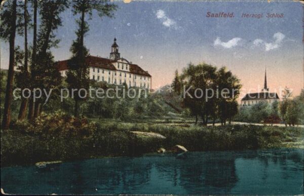 Saalfeld Saale Herzogliches Schloss Teich
