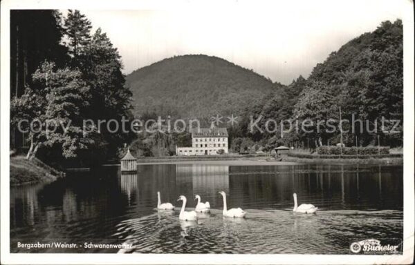 Bergzabern Bad Schwanenweiher