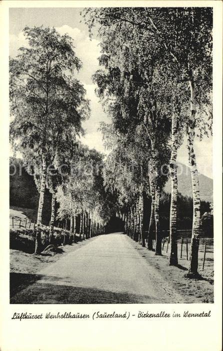 Wenholthausen Birkenallee im Wennetal