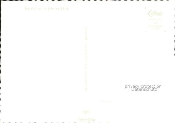Braunfels Fliegeraufnahme mit Schloß – Bild 2