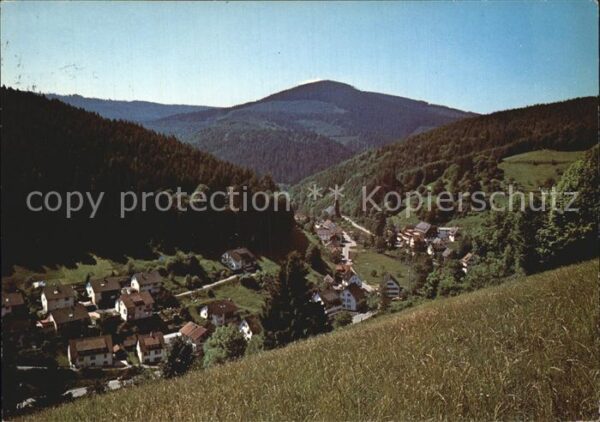 Schoenmuenzach Murgtal