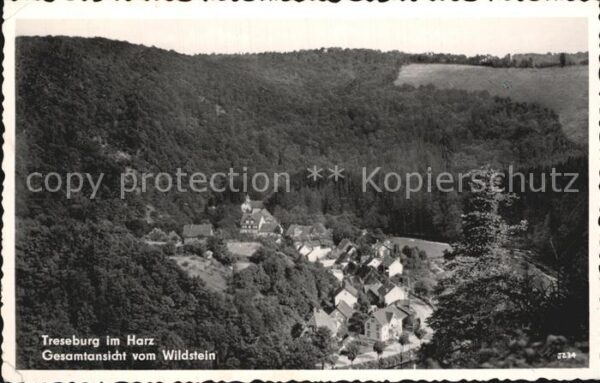 Treseburg Harz Blick vom Wildenstein